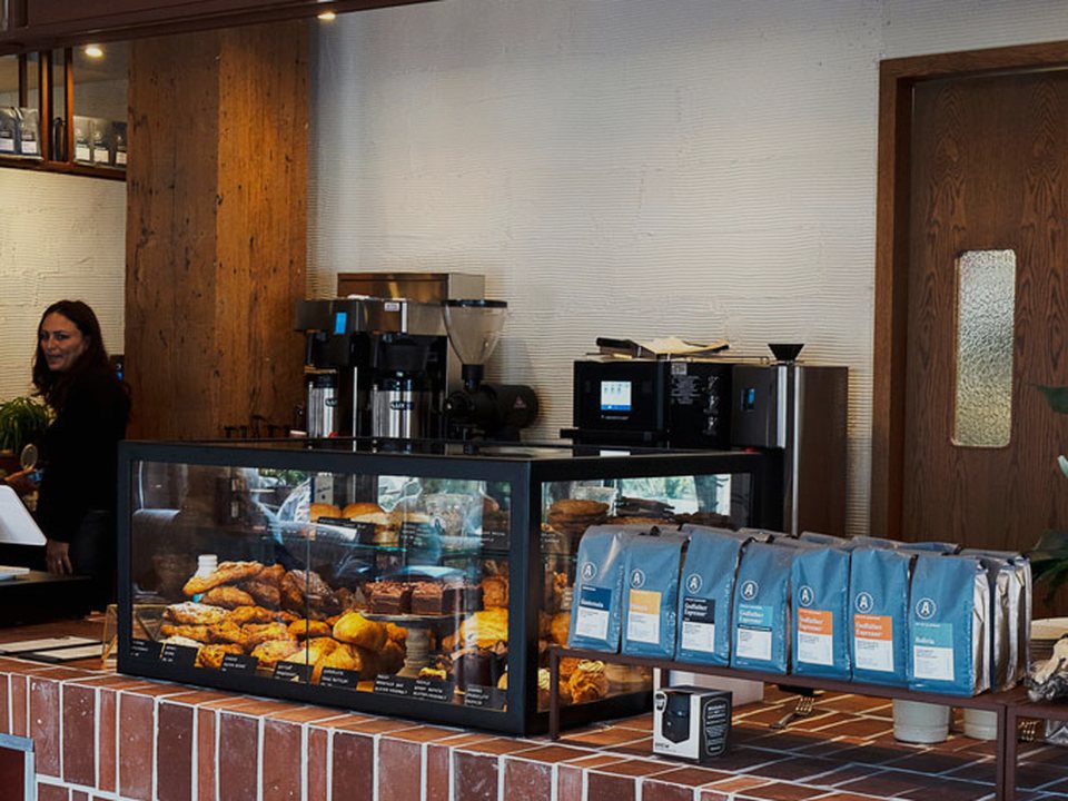 Temel Barista