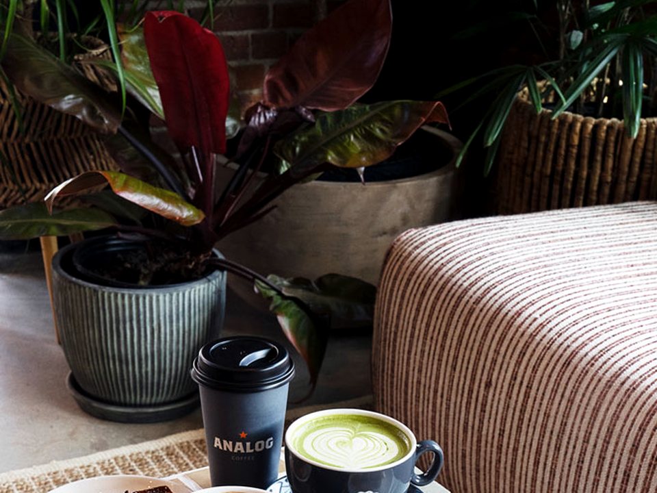 Iced Matcha Latte